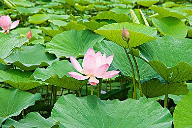 经典3D动作游戏《格斗力量》合集即将发售